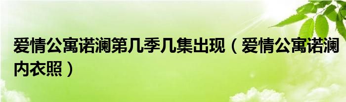 爱情公寓诺澜第几季几集出现（爱情公寓诺澜内衣照）