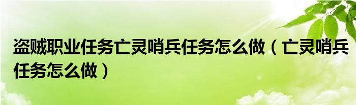 盗贼职业任务亡灵哨兵任务怎么做（亡灵哨兵任务怎么做）