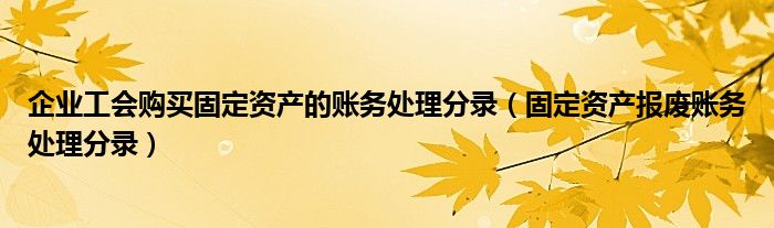 企业工会购买固定资产的账务处理分录（固定资产报废账务处理分录）