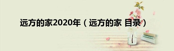 远方的家2020年（远方的家 目录）