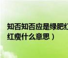 知否知否应是绿肥红瘦什么意思李清照（知否知否应是绿肥红瘦什么意思）