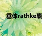 垂体rathke囊肿（rathke囊肿是什么病）