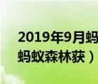 2019年9月蚂蚁森林获得什么（2019年9月蚂蚁森林获）