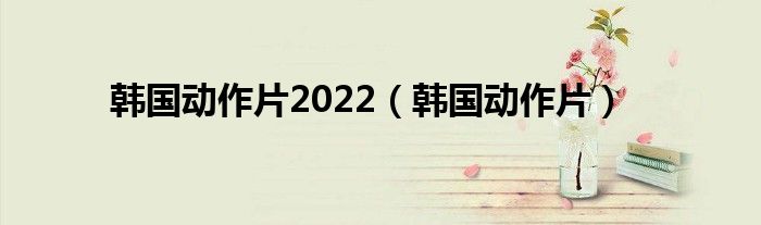 韩国动作片2022（韩国动作片）