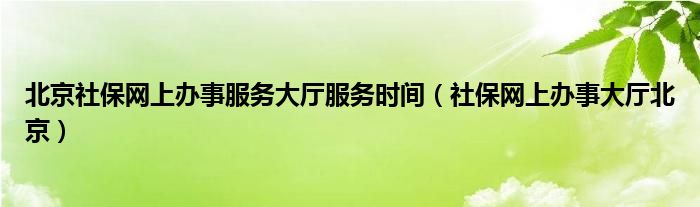 北京社保网上办事服务大厅服务时间（社保网上办事大厅北京）