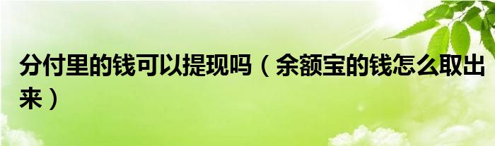 分付里的钱可以提现吗（余额宝的钱怎么取出来）