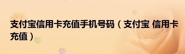 支付宝信用卡充值手机号码（支付宝 信用卡充值）