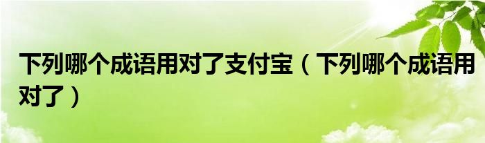 下列哪个成语用对了支付宝（下列哪个成语用对了）