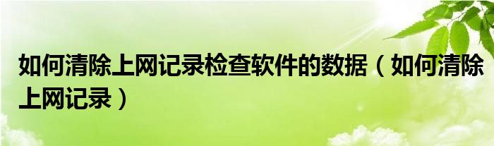 如何清除上网记录检查软件的数据（如何清除上网记录）