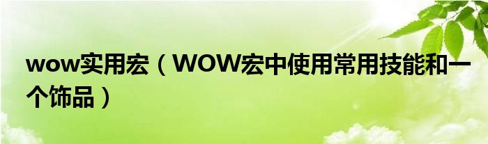 wow实用宏（WOW宏中使用常用技能和一个饰品）