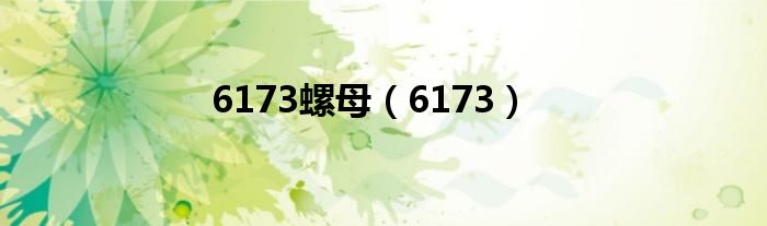 6173螺母（6173）