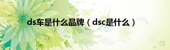 ds车是什么品牌（dsc是什么）