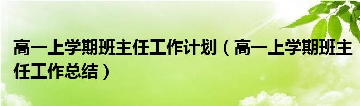 高一上学期班主任工作计划（高一上学期班主任工作总结）