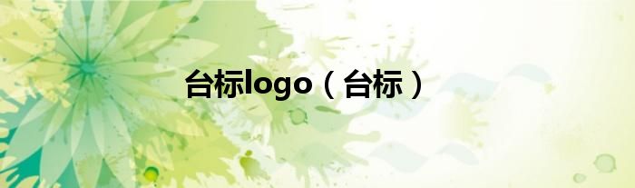 台标logo（台标）