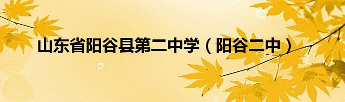 山东省阳谷县第二中学（阳谷二中）