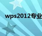 wps2012专业版安装（wps2012专业版）