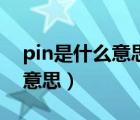 pin是什么意思电脑要怎么设置（pin是什么意思）