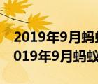 2019年9月蚂蚁森林在联合国获得什么奖（2019年9月蚂蚁森林）