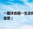 一朝沐杏雨一生念师恩的出处（一朝沐杏雨一生念师恩什么意思）