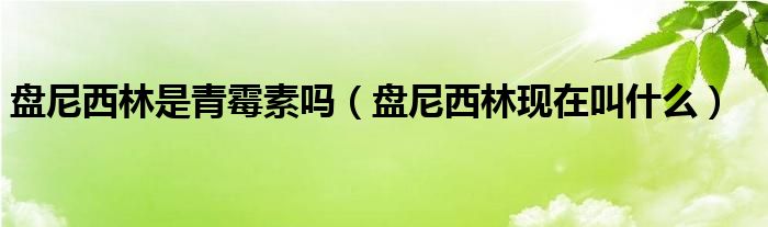 盘尼西林是青霉素吗（盘尼西林现在叫什么）