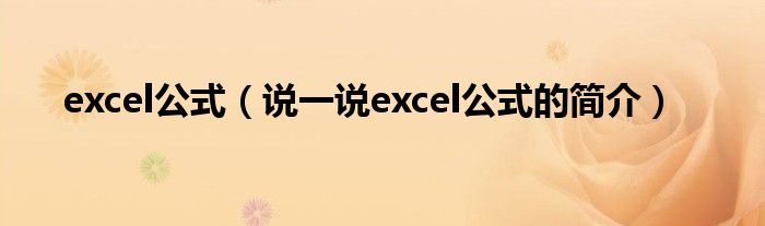 excel公式（说一说excel公式的简介）