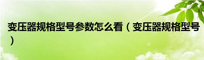 变压器规格型号参数怎么看（变压器规格型号）