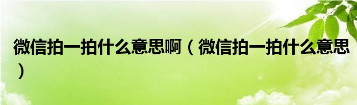 微信拍一拍什么意思啊（微信拍一拍什么意思）