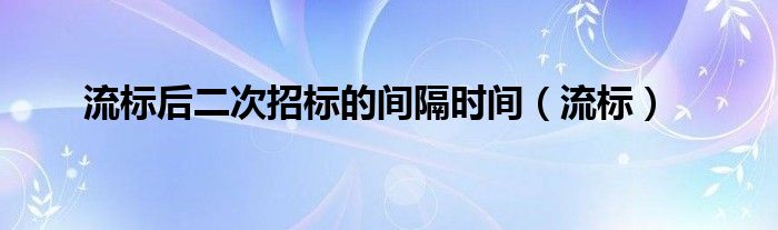 流标后二次招标的间隔时间（流标）