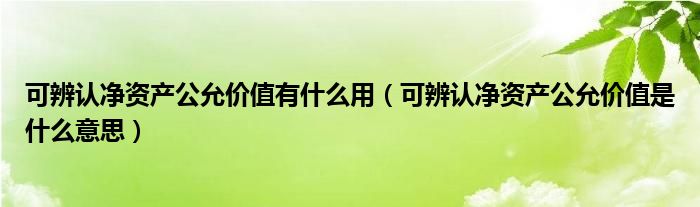 可辨认净资产公允价值有什么用（可辨认净资产公允价值是什么意思）