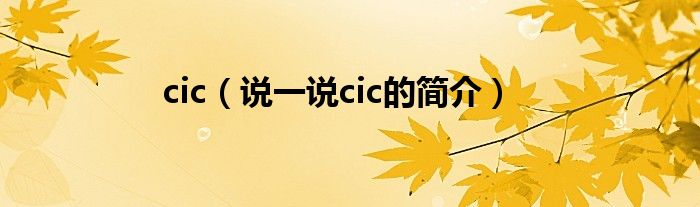 cic（说一说cic的简介）