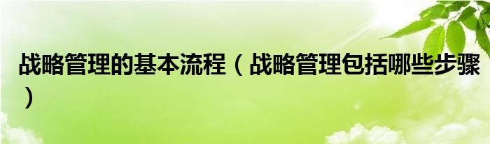 战略管理的基本流程（战略管理包括哪些步骤）