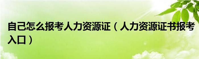 自己怎么报考人力资源证（人力资源证书报考入口）