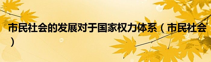 市民社会的发展对于国家权力体系（市民社会）