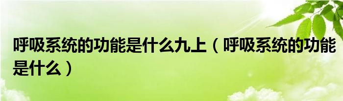 呼吸系统的功能是什么九上（呼吸系统的功能是什么）