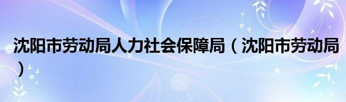 沈阳市劳动局人力社会保障局（沈阳市劳动局）