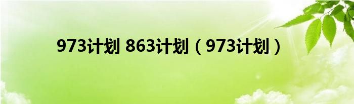 973计划 863计划（973计划）