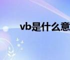 vb是什么意思饭圈（vb是什么意思）