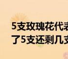 5支玫瑰花代表什么（桌子上有7支蜡烛吹灭了5支还剩几支）