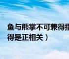 鱼与熊掌不可兼得指的是哪种类型的冲突（鱼与熊掌不可兼得是正相关）