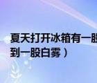 夏天打开冰箱有一股白雾是因为（夏天打开冰箱为什么会看到一股白雾）