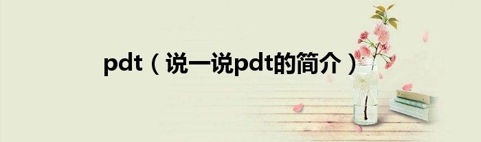 pdt（说一说pdt的简介）