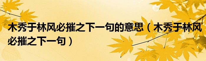 木秀于林风必摧之下一句的意思（木秀于林风必摧之下一句）