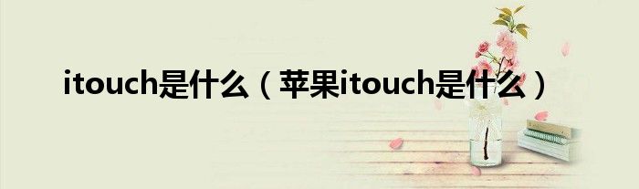 itouch是什么（苹果itouch是什么）