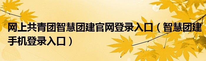 网上共青团智慧团建官网登录入口（智慧团建手机登录入口）