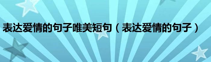 表达爱情的句子唯美短句（表达爱情的句子）