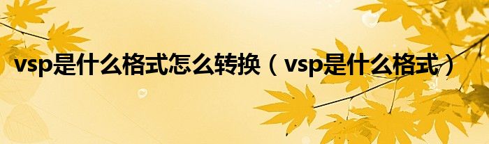 vsp是什么格式怎么转换（vsp是什么格式）