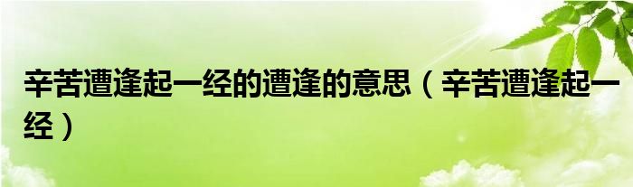 辛苦遭逢起一经的遭逢的意思（辛苦遭逢起一经）