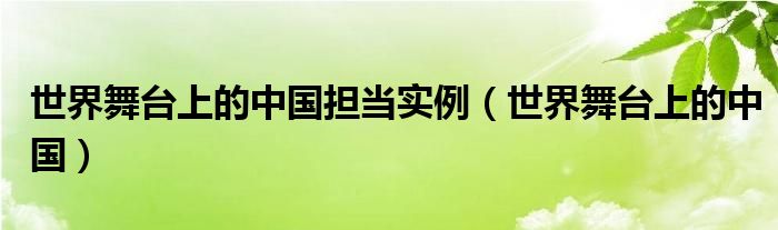 世界舞台上的中国担当实例（世界舞台上的中国）