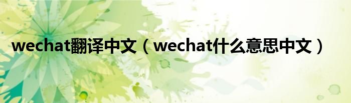 wechat翻译中文（wechat什么意思中文）