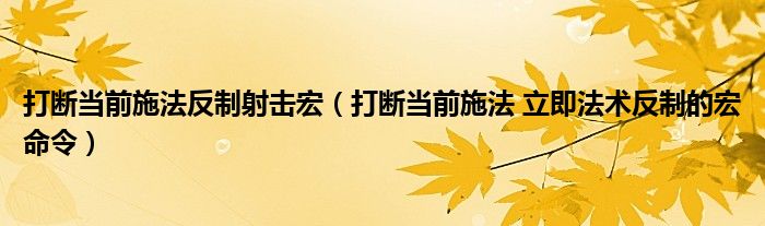 打断当前施法反制射击宏（打断当前施法 立即法术反制的宏命令）